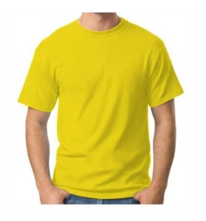 CAMISA COLOR  -  VERZZOLO