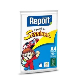 PAPEL SENINHA 100FLS